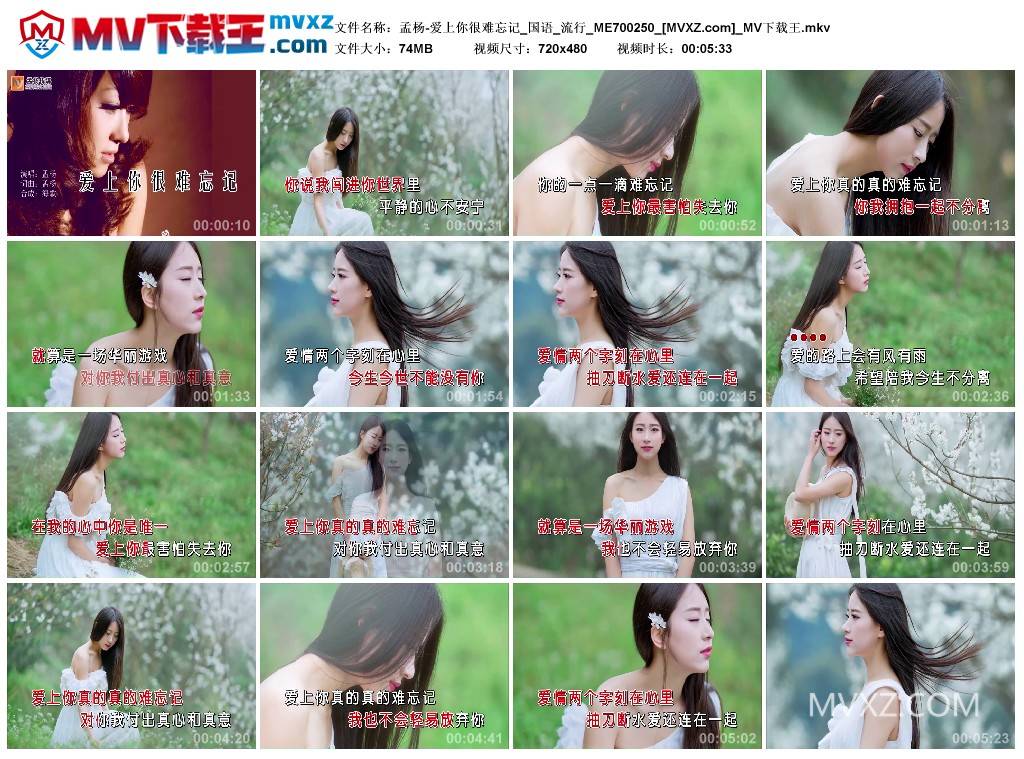 孟杨-爱上你很难忘记_国语_流行_ME700250